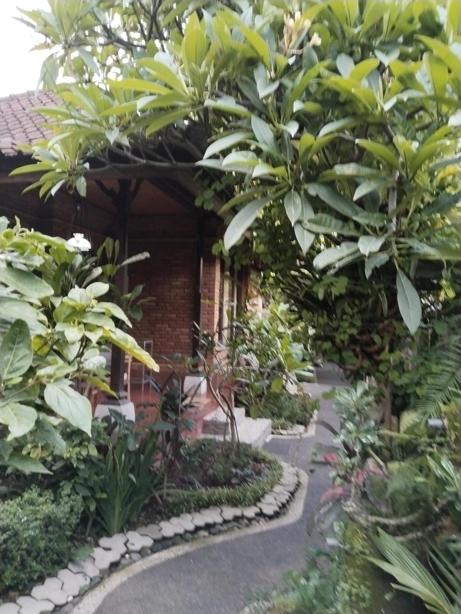 Dewa 2* Ubud