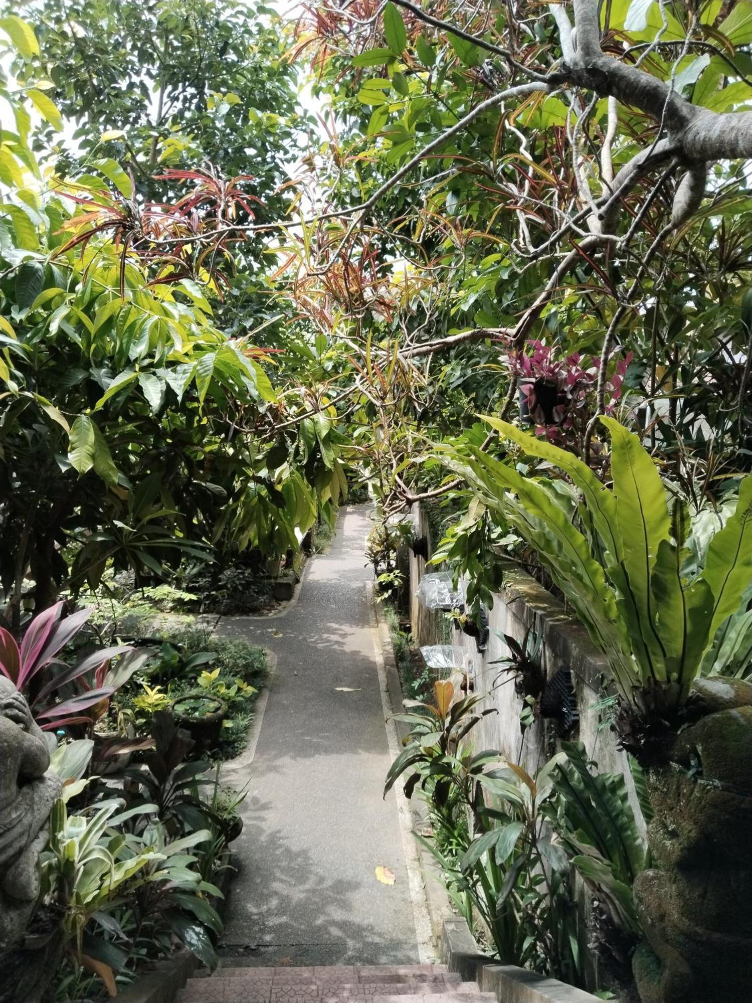 Dewa
