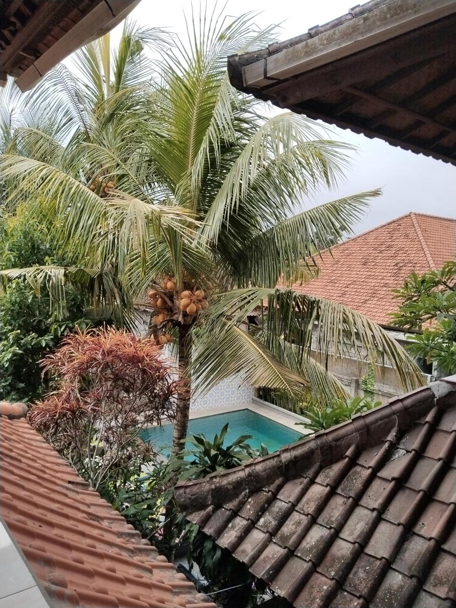 Dewa Ubud