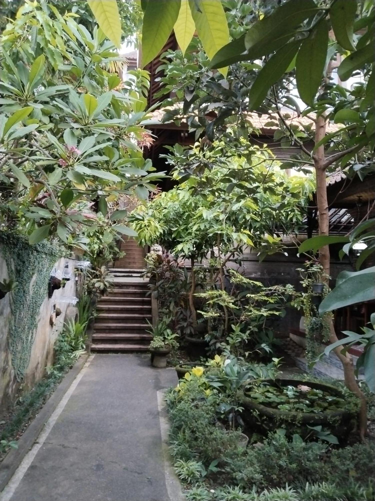 Dewa Guest house Ubud (Bali)
