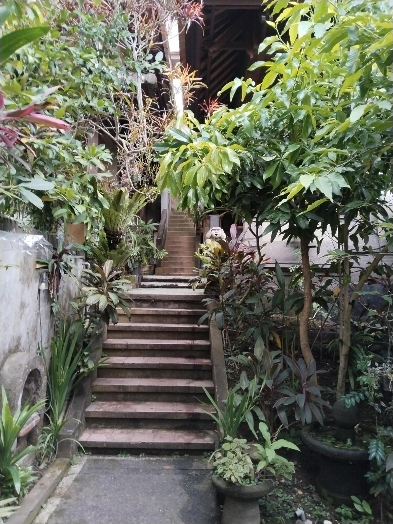 Dewa 2* Ubud (Bali)